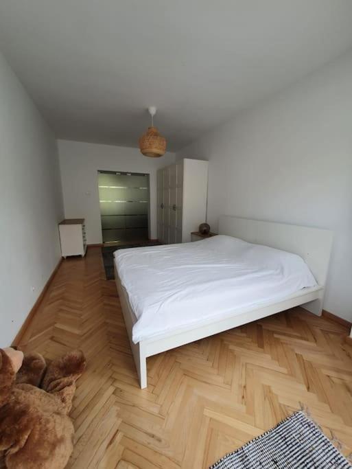 Spacious And Quiet 1Br Apartment In Floreasca Бухарест Екстер'єр фото
